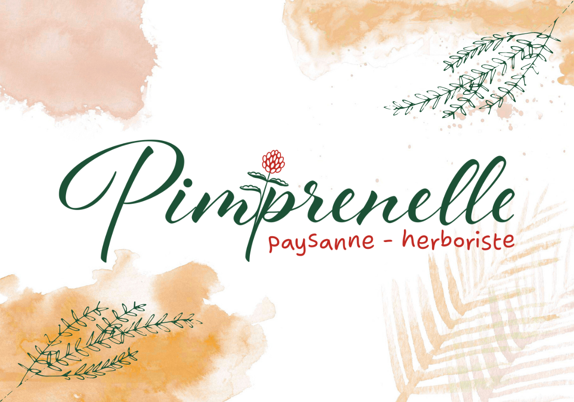 Carte cadeau Pimprenelle
