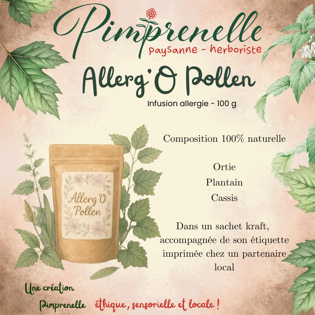 Infusion Allerg'O Pollen