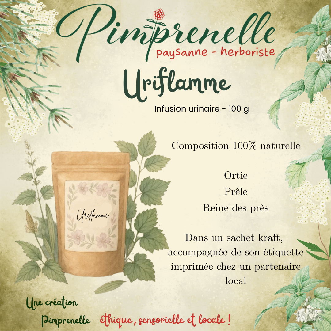 Infusion Uriflamme